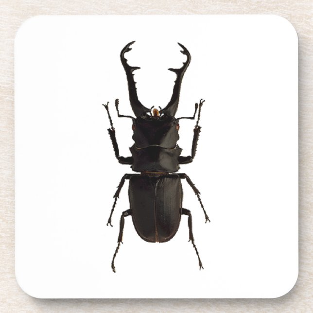 Stag Beetle Getränkeuntersetzer (Vorderseite)