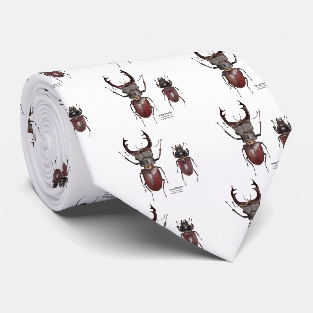 Stag Beetle Krawatte (Gerollt)