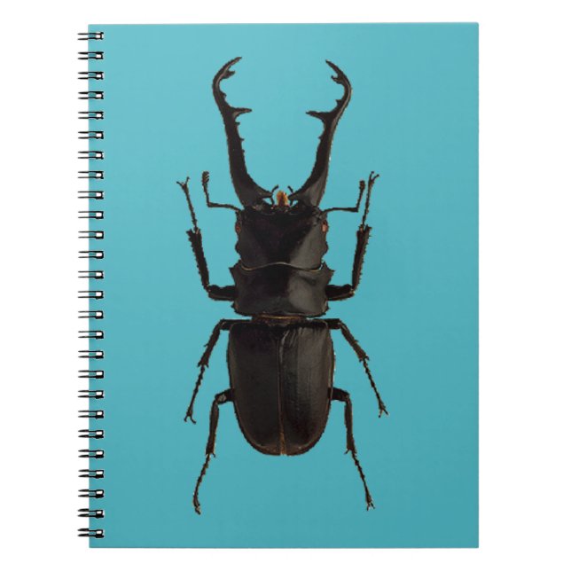 Stag Beetle Notizblock (Vorderseite)