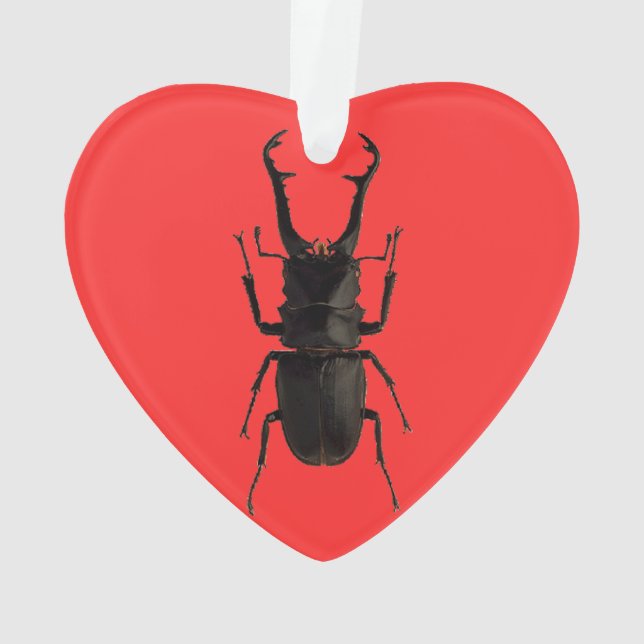 Stag Beetle Ornament (Rückseite)