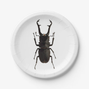 Stag Beetle Pappteller