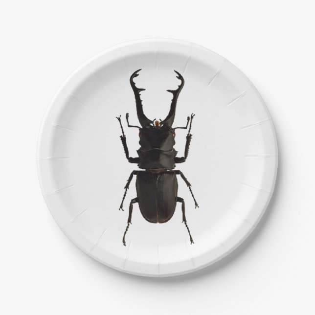 Stag Beetle Pappteller (Vorderseite)