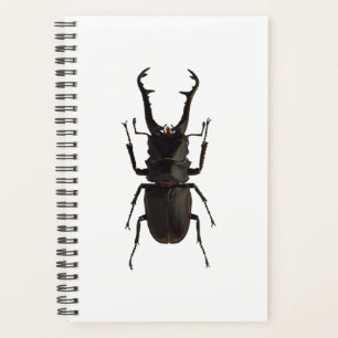 Stag Beetle Planer