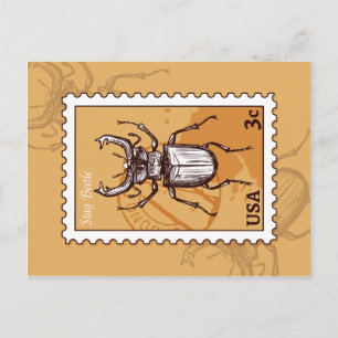 Stag Beetle Postkarte