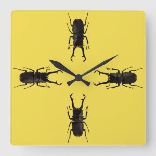 Stag Beetle Quadratische Wanduhr