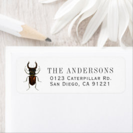 Stag Beetle Return Address