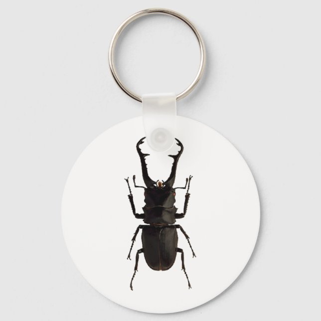 Stag Beetle Schlüsselanhänger (Vorderseite)