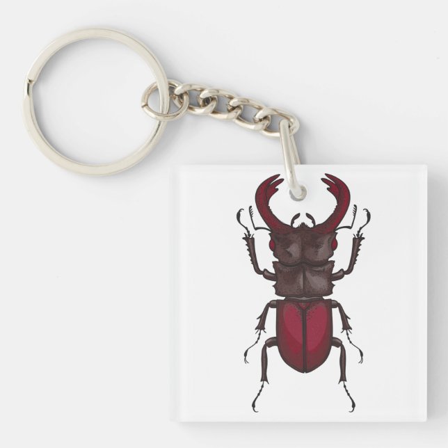 Stag beetle schlüsselanhänger (Vorderseite)