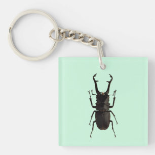 Stag Beetle Schlüsselanhänger
