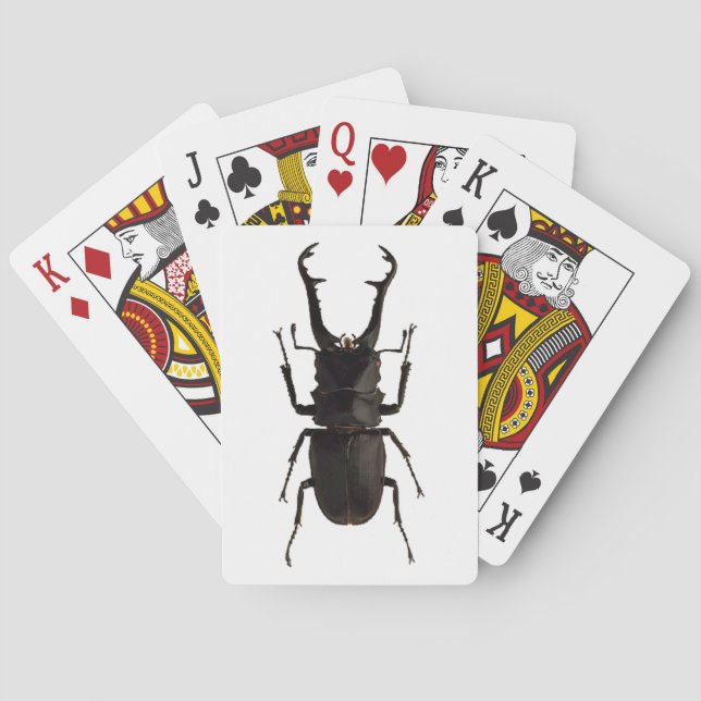 Stag Beetle Spielkarten (Rückseite)
