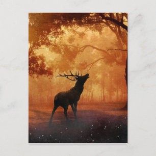Stag bei Sunset Postkarte
