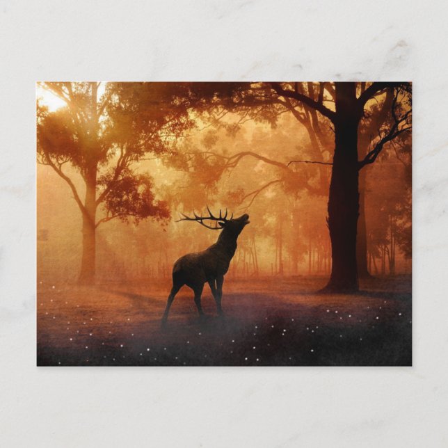 Stag bei Sunset Postkarte (Vorderseite)