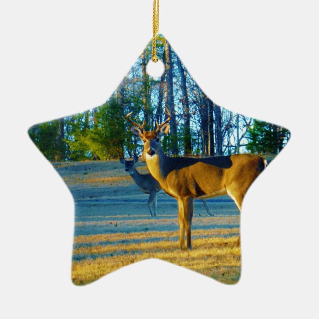 Stag / Buck Deer, hellblauer Himmel Keramik Ornament (Vorne)