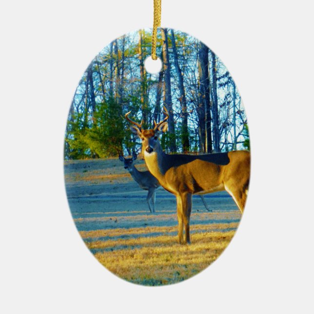 Stag / Buck Deer, hellblauer Himmel Keramikornament (Vorne)