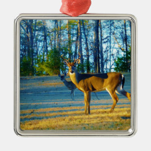Stag / Buck Deer, hellblauer Himmel Ornament Aus Metall