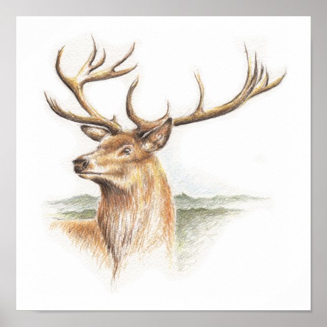 Stag Deer Print Poster (Vorne)