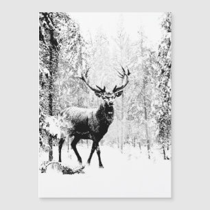 Stag Deer Winter Forest Wildlife Tierwelt Kunst, D Magnetkarte