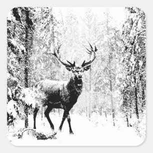 Stag Deer Winter Forest Wildlife Tierwelt Kunst, D Quadratischer Aufkleber