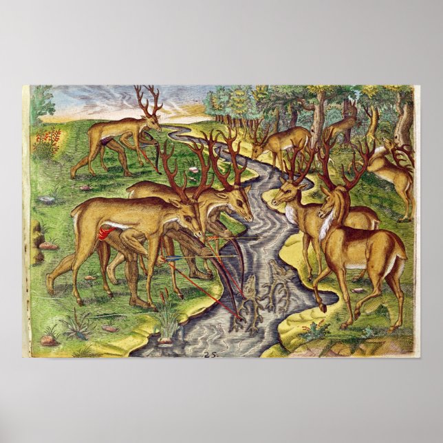 Stag Hunt von 'Brevis Narratio' Poster (Vorne)