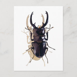 "Stag käfer" Insektenkunst Postkarte