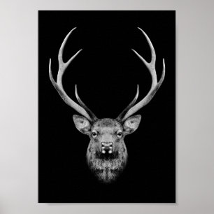 Stag-Plakat Poster