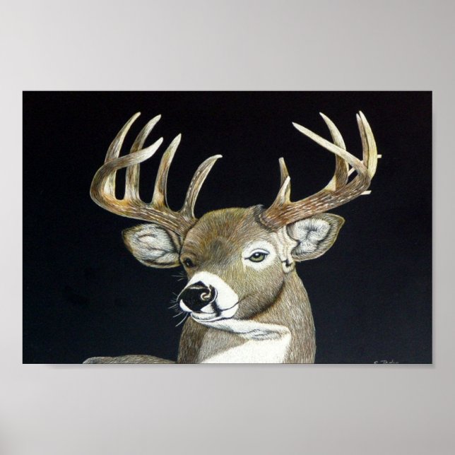 Stag Poster (Vorne)