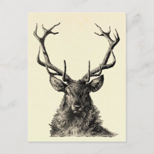 Stag Print, Hirschdruck, Vintag, skandinavisch Postkarte