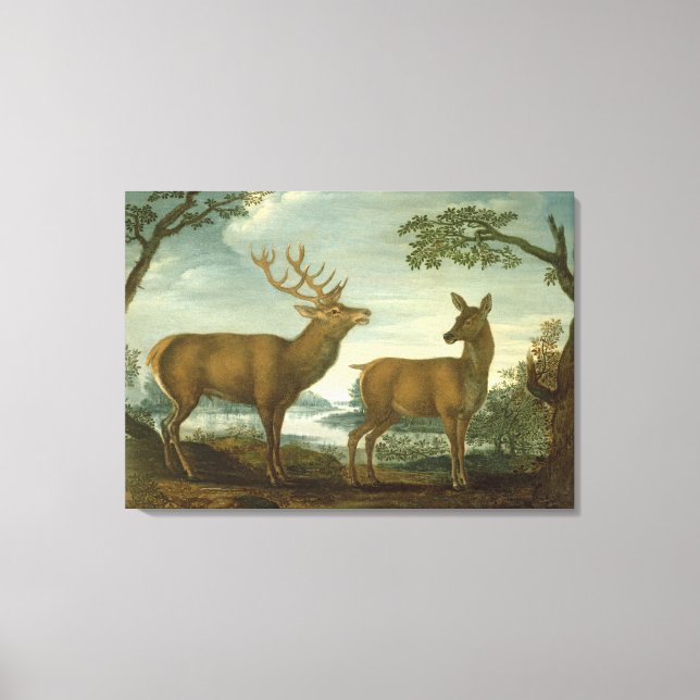 Stag und Hinter einer bewaldeten Landschaft Leinwanddruck (Vorderseite)