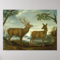 Stag und Hinter einer bewaldeten Landschaft
