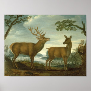 Stag und Hinter einer bewaldeten Landschaft Poster