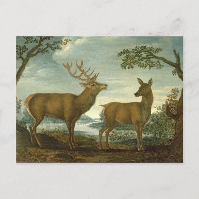 Stag und Hinter einer bewaldeten Landschaft Postkarte (Vorderseite)