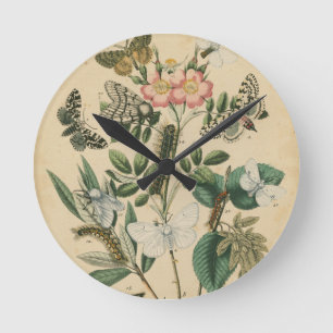 Stages of Butterfly Life by Vision Studio Runde Wanduhr