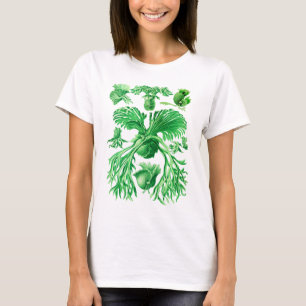 Staghorn Farn T-Shirt