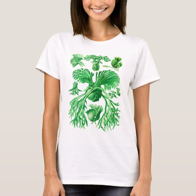 Staghorn Farn T-Shirt (Vorderseite)