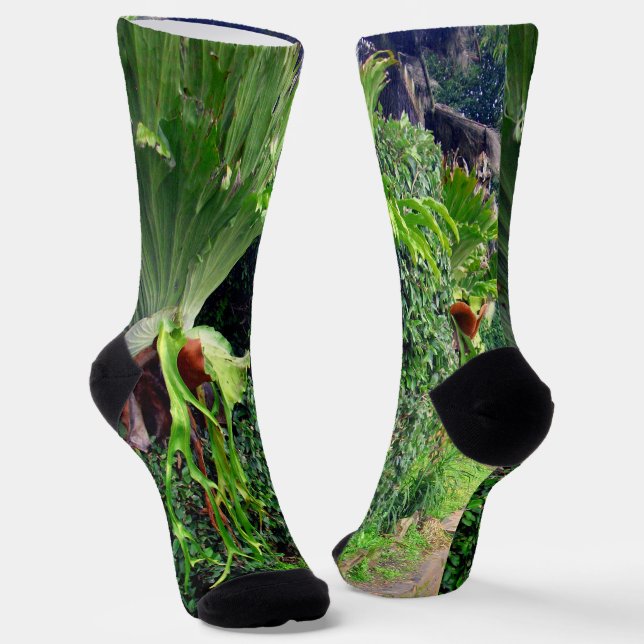 Staghorn Ferns an einer Wand, Crew Socken (Gewinkelt)