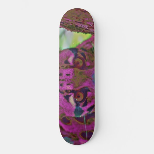 Stalking Prey Skateboard (Vorderseite)