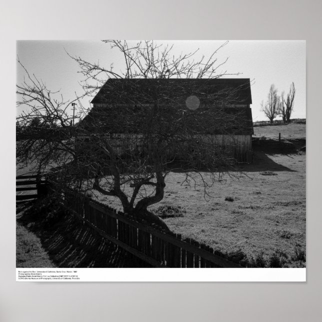 Stall, gegen die Sonne (Flare Spot), März 1962 Poster (Vorne)