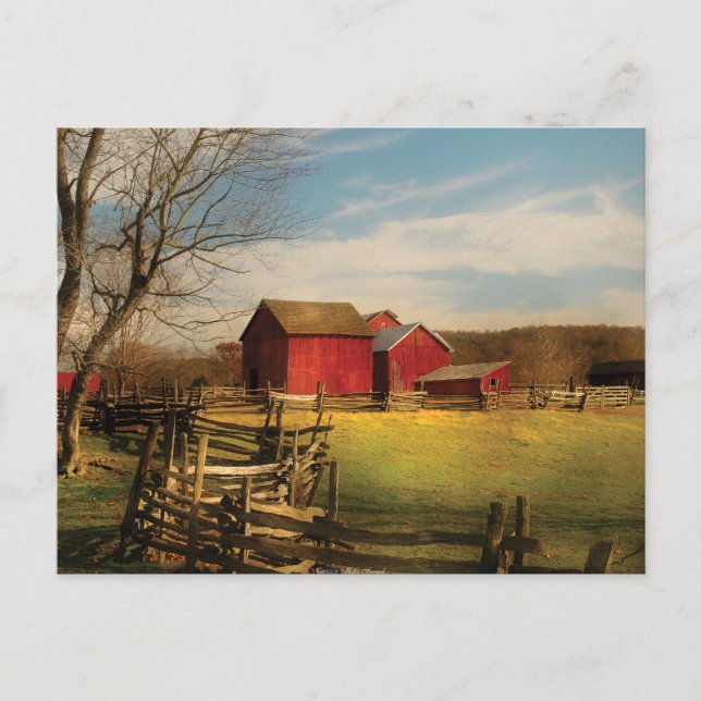 Stall - Ich habe den Bauernhof gekauft Postkarte (Vorderseite)