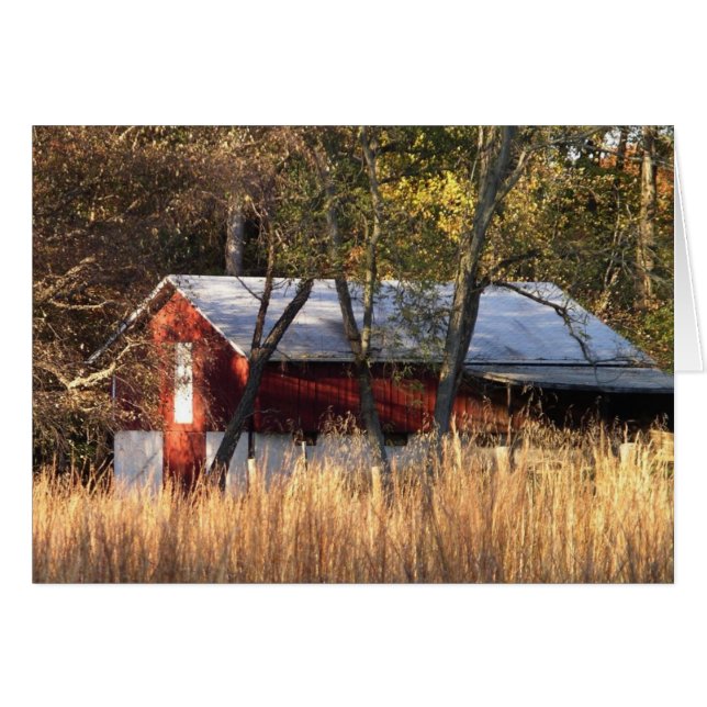 Stall im Zentrum von Maryland (Vorderseite (Horizontal))