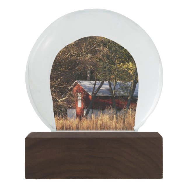 Stall im Zentrum von Maryland Schneekugel (Vorderseite)