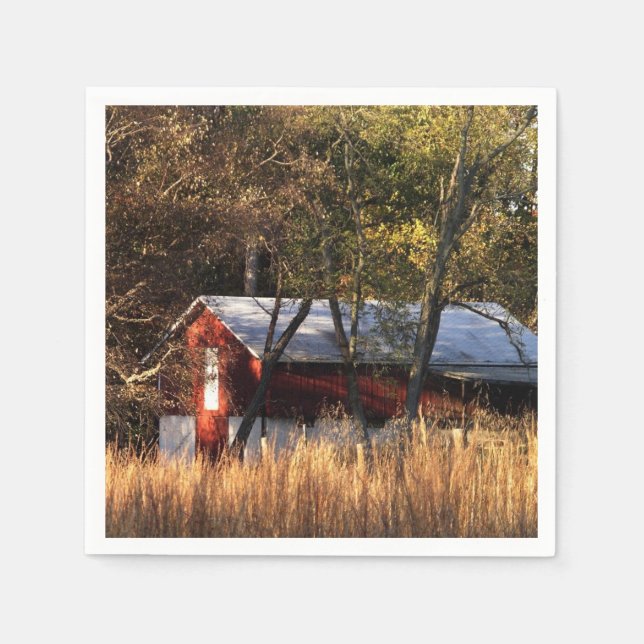 Stall im Zentrum von Maryland Serviette (Vorderseite)