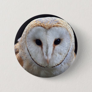 Stall Owl Abzeichen Button