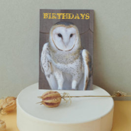 Stall Owl Foto Funny Birthday Card Karte