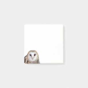 Stall Owl Foto Post-it Notes Stationery Post-it Klebezettel
