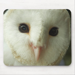 Stall-Owl-Mousepad Mousepad