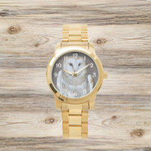 Stall Owl Raptor Foto