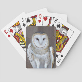 Stall Owl Raptor Foto Spielkarten