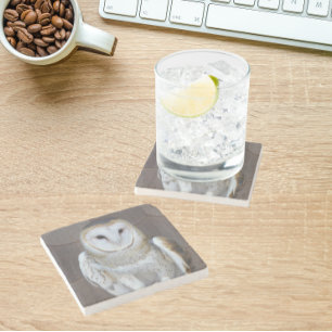 Stall Owl Raptor Foto Steinuntersetzer