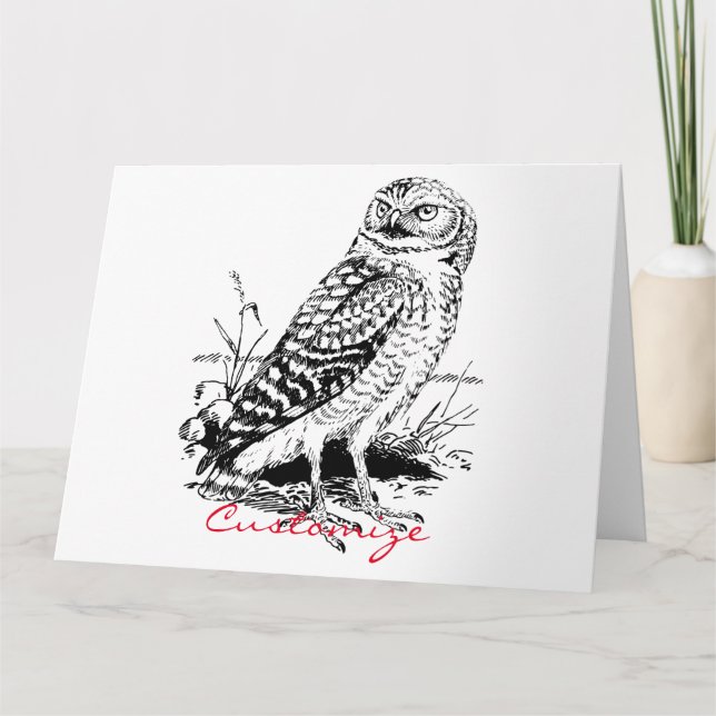 Stall Owl Thunder_Cove Karte (Vorderseite)