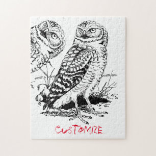 Stall Owl Thunder_Cove Puzzle